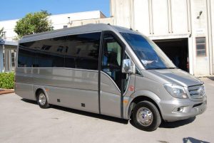 mercedes-benz-sprinter-906-atlas_9