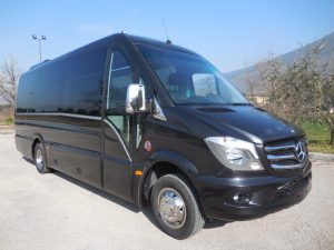 mercedes-benz-sprinter-plus_2