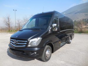 mercedes-benz-sprinter-plus_3